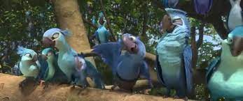 YARN | Birds of blue feathers... | Rio 2 (2014) | Video clips by quotes |  129af85c | 紗