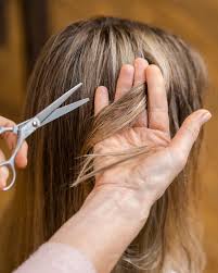 This is winging it, where we're one of the reasons you get a haircut is that you want to manage the damage on the hair, says. Free Photo Woman Getting A Haircut At Home By Beautician