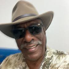 Gyros and Fries! 🤤🥙🍟