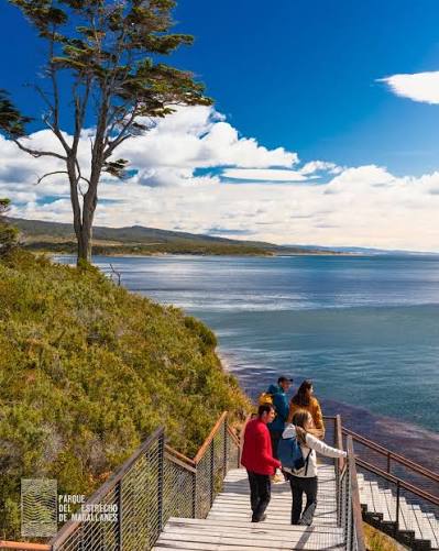 Quién con ganas de visitar el Parque este finde? 🙋‍♀️🙋 Senderos, sitios históricos, miradores, centro de visitantes, cafetería, tienda, el Estrecho de Magallanes y mucho más te esperan 🙌 👉 De 10