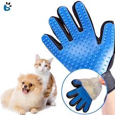 Her Kedi Sahibinin Mutlaka Edinmesi Gereken Kedi Malzemeleri