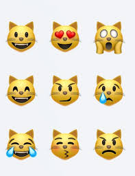 Cat Emojis Emoji Wallpaper Cat Emoji Emoji