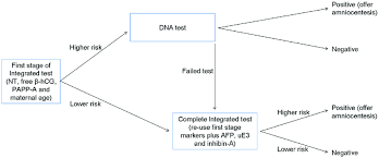 Where can i do dna test for free. Protocol For Reflex Dna Testing In Conjunction With Integrated Test Download Scientific Diagram