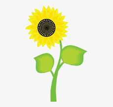 Wallpaper bunga matahari lucu.304 233 80. Wallpaper Bunga Matahari Sunflower Flower Yellow Petal Sunflower Plant Flowering Plant Sky Pollen Close Up 2068348 Wallpaperkiss