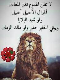 لا تظن الهموم تغير المعادن فمازال الأصيل أصيل ولو شهد البلايا ويبقي الحقير حقير ولو ملك الزمان Words Quotes Wisdom Quotes Life Favorite Book Quotes