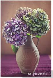 Ortensie e linguaggio dei fiori. Poster Fiori Di Ortensia Viola In Un Vecchio Vaso Di Creta Pixers Viviamo Per Il Cambiamento
