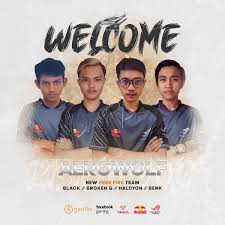 Every day is booyah day when you play the garena free fire pc game edition. Aerowolf Pro Team On Twitter Please Welcome Our New Free Fire Team Aero Black Aero Brokeng Aero Halcyon Aero Benk Spam Your Likes To Show Your Support For Aerowolf Free Fire Https T Co Qhr2uzneii