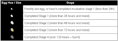 An Egg Uoguide The Ultima Online Encyclopedia