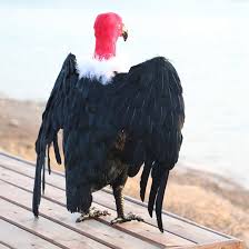 UBERSWEET® Realistic Animals Bird Vulture Model Figurine Statue Scupltue  Decor Red : Amazon.in: Toys & Games