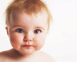 The Chronicle of Higher Education