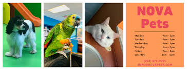 All pets health center has a well deserved reputation of providing affordable, top quality medical and surgical care as well as excellent client service. Nova Pets Health Center Startseite Facebook