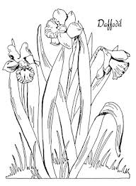 Then print out your mandala coloring pages to get started. 10 Floral Adult Coloring Pages The Graphics Fairy