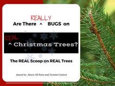 From ants to termites, from spiders to fleas, from rats to roaches, ocean county residence like you turn to above all termite & pest control for help. 15 Ocean County Pest Control Ideas Pest Control Ocean County Middlesex County