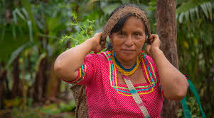 Reseña de las nacionalidades y pueblos indígenas del ecuador. Normativa Y Derechos De Las Nacionalidades Indigenas Amazonicas En Ecuador Acciones Que Impulsa Proamazonia Para Contribuir Con Su Cumplimiento Proamazonia