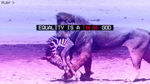 Fashwave Wallpaper Glitch Art Vaporwave Europe Lion Zebras Hunt Wallpaper For You Hd Wallpaper For Desktop Mobile Fashwave, glitch art, vaporwave, jet fighter, red. fashwave wallpaper glitch art