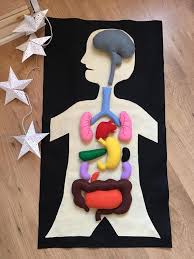 Des idées de bricolages enfants simples dès l'âge de trois ans. Comment Fabriquer Facilement Sa Pate A Modeler Maison