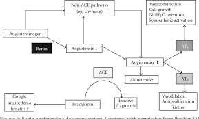 Hamid javaid qureshi et al. Pdf Cardiovascular Risk Reduction With Renin Angiotensin Aldosterone System Blockade Semantic Scholar