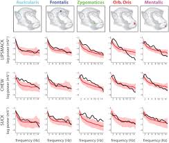 Check spelling or type a new query. Facial Muscle Coordination In Monkeys During Rhythmic Facial Expressions And Ingestive Movements Journal Of Neuroscience