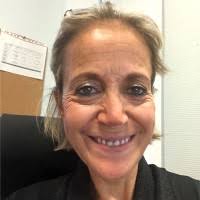 40+ "Nolet" profiles