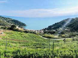 La banca del vino è ospitata a pollenzo, in provincia di cuneo, in un complesso architettonico del 1835, fatto costruire da carlo alberto di savoia quale centro direzionale delle tenute sabaude e cuore delle sperimentazioni agro viticole. La Banca Del Vino Eventi In Settimana Slowine