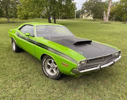 Image result for Light Green 1971 Challenger
