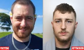 Violent driver who mowed down dog walker and left him with a broken back  and legs is jailed