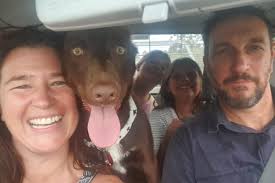 Fundraiser for Zoe Pook by Kylie Herring : Rebuilding After the Devastation  of the Fires.