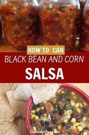 Black Bean And Corn Salsa Recipe Easy Canning Black Bean And Corn Salsa Recipe The Safe Way Schneiderpeeps Recipe Corn Salsa Recipe Recipes Corn Salsa