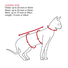Here you can find the best 1920x1080 cat wallpapers uploaded by our community. Sphynx Cat Shirts Cherry Pop Crew Turtleneck Sphynx Cat Wear