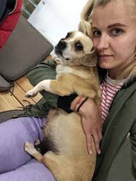 I received a donation of 34.58 euro (£30) from Dawn Harrison for Mihai's  wages. Thank you so much Dawn. xx