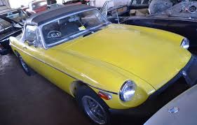 Image result for Snapdragon Yellow 1980 MG