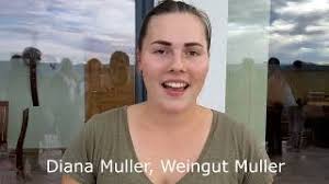 The 2022 wine harvest in Austria, Piedmont and Portugal according to the  winemakers