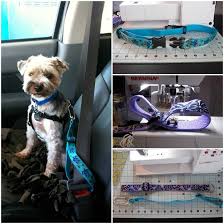 Diy Dog Seatbelt Lovepetsdiy Com Diy Dog Stuff Dog Training Obedience Dog Seat Belt