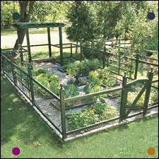 This 576 Square Foot Plot Produces Veggies All Summer For A Family Of Four With Plenty Left Over To Share Clean Raised Dream Garden Backyard Garden Backyard