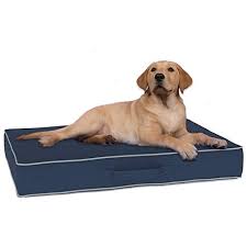 Check spelling or type a new query. K9 Ballistics Pet Supplies South Africa Buy K9 Ballistics Pet Supplies Online Wantitall