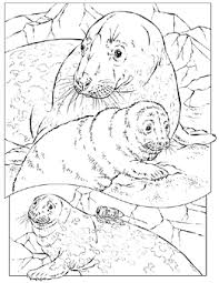 405 3 describe your collection here. 700 Vbs In The Wild 2019 Ideas Animal Coloring Pages Coloring Pages Coloring Books