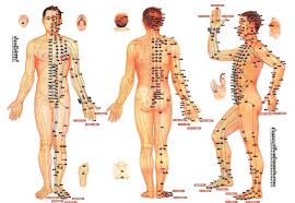 Merkez bankasının temel amacı fiyat istikrarını sağlamaktır. Illustration Of Meridians In Traditional Chinese Medicine From Tcm Download Scientific Diagram