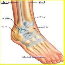 مناشدة اقتبس كومة من الكاحل القدم findlocal drivewayrepair com