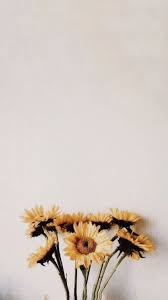 Unique designs on hard and soft cases and covers for iphone 12, se, 11, iphone xs, iphone x, iphone 8, & more. Iphone Wallpaper Flower Iphone Wallpaper