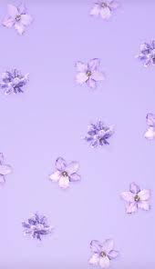 Pembayaran mudah, pengiriman cepat & bisa cicil 0%. Aesthetic Background Wallpaper Iphone Ungu Ungu Pastel Wallpaper Ungu