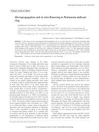 Image result for Pentanema indicum