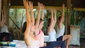 200 hour hatha vinyasa yoga teacher