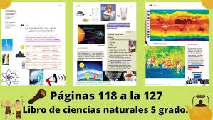 Este libro de texto que tienes en tus manos es una herramienta muy importante para que puedas desarrollar los aprendizajes de la mejor manera. Paginas 118 A La 127 Libro De Ciencias Naturales 5 Grado Youtube