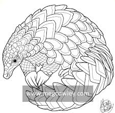 Pangolin Pangolin Art Stuffed Animal Patterns Pangolin