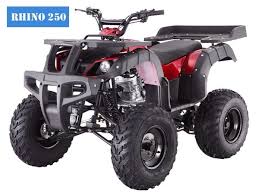 Birdy S Scooters And Atvs 250cc Rhino Atv Manual Birdy S Scooter Atvs Https Www Birdysscootersandatvs Com Product 250cc Rhino Atv Manual Utm Sguid 1 250cc Atv Four Wheelers Atv