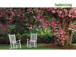 Check spelling or type a new query. 3 Terrible Places To Plant Crepe Myrtle Southern Living