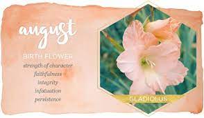 Pin On Birth Month Flowers