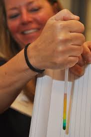 Educators turn lessons learned into lesson plans > Savannah District > News  Stories