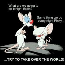 Pin By Caitlyn Murphy On Tv Movie Related Funnies Animaniacs Brains Quote Childhood Memories