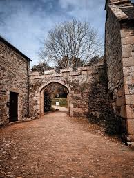 Nature & Animals Photographers in Plymouth United Kingdom